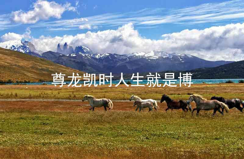 尊龙凯时人生就是博
