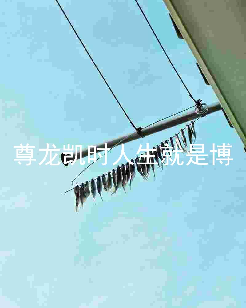 尊龙凯时人生就是博