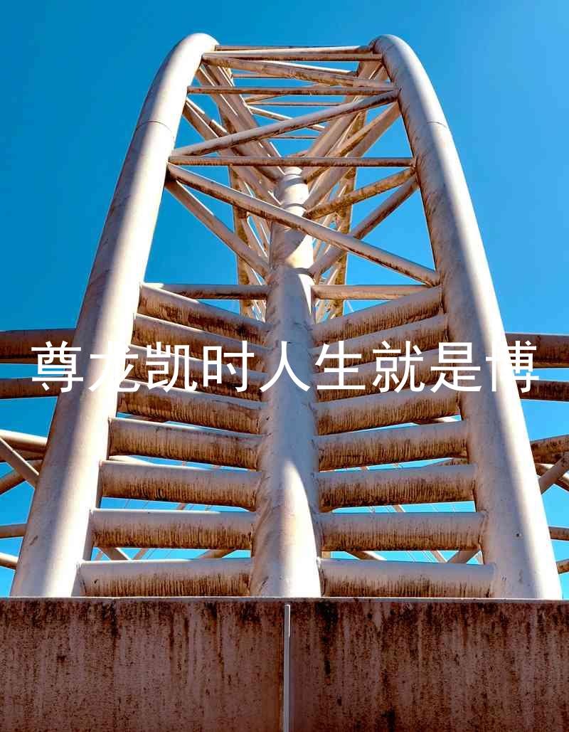 尊龙凯时人生就是博